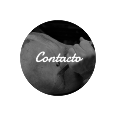 CONTACTO / CONTACT